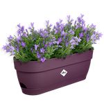 vibia campana balkonkasten 50cm ahorn lila